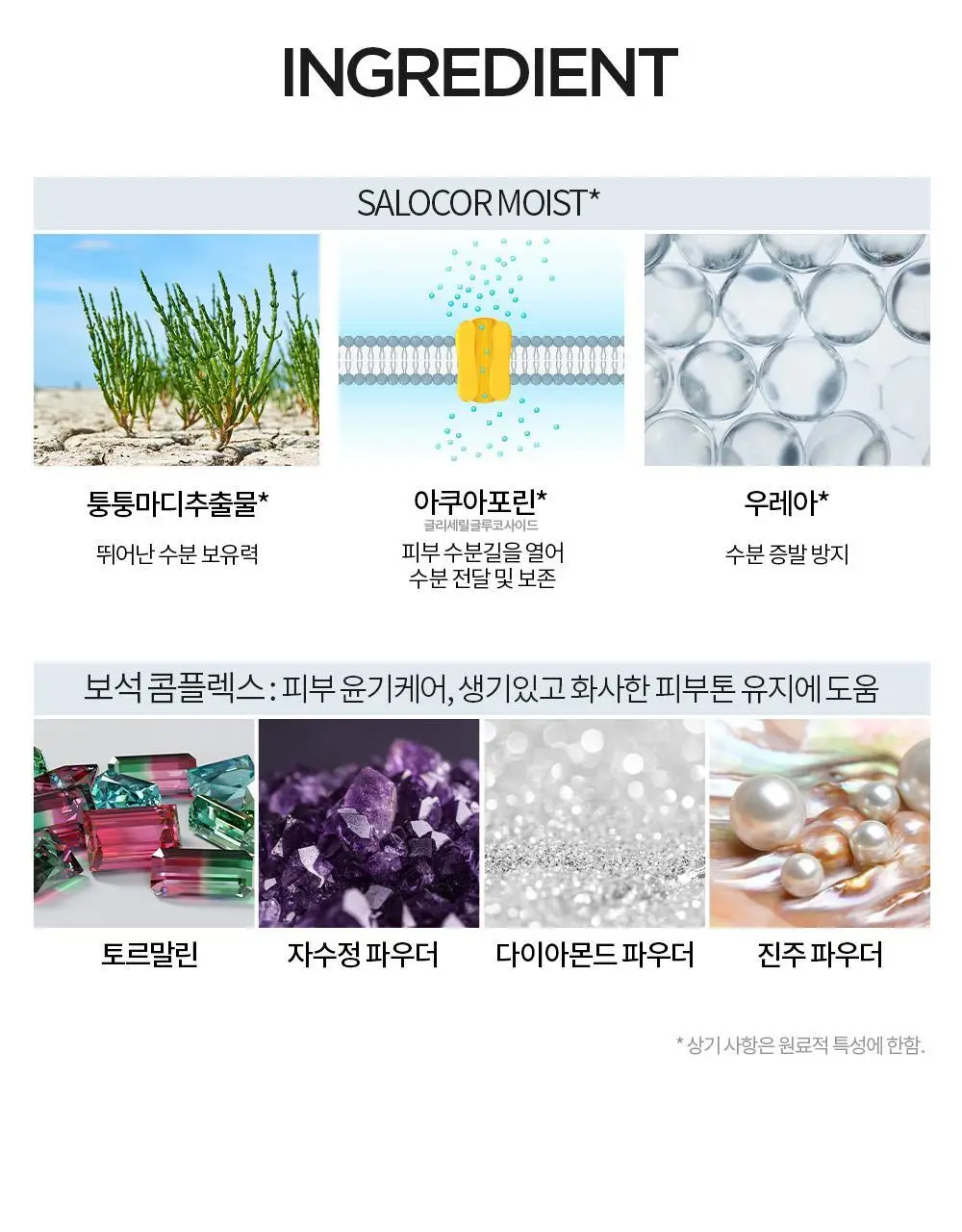 [촉촉톤업] 홀리카홀리카 모이스처 메이크업 선크림 60ml 상세페이지 11